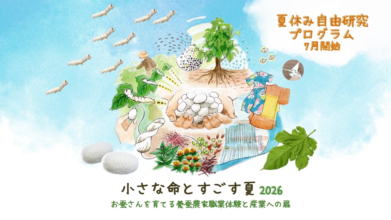 蚕飼育プロジェクト「小さな命とすごす春夏秋」 | SILK OF LIFE