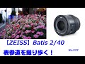 【ZEISS】Batis 40mmで撮る表参道（動画No.971）
