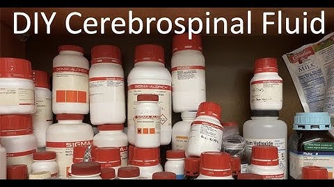 Making aCSF and Prepping for Electrophysiology