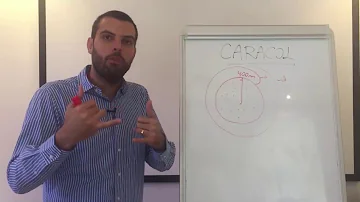 Como vender mídia?