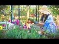 #117. 장마에 죽고 또 죽어도 너무 예뻐서 안키울수 없는 애증꽃 8종 소개해요!ㅣ여름 장마, 과습에 취약한 꽃 알고 심어요 😉