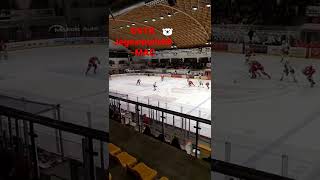 Dvtk Jegesmedvék - Mac 32 Èk