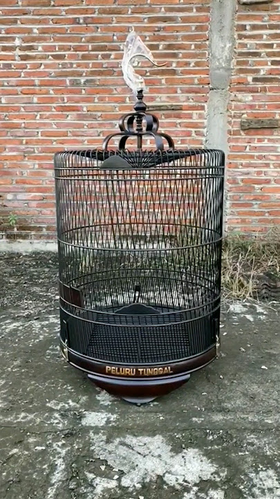Sangkar Murai Batu Medan Ruji Miring Bisa Request Nama