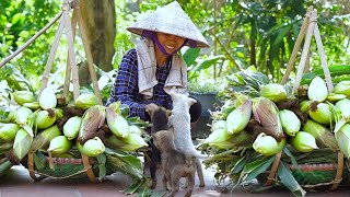 Harvesting and Cooking: Boiled Waxy Corn | Village Life | Am Thuc Me Lam