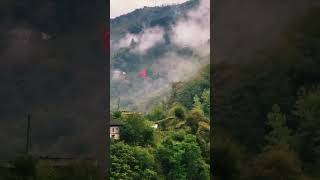 Trabzonaraklı Sisli Sabahlarda Uyanmak, Ve Doğanın Saf Halini Hissetmek Için Karadenize Geldim