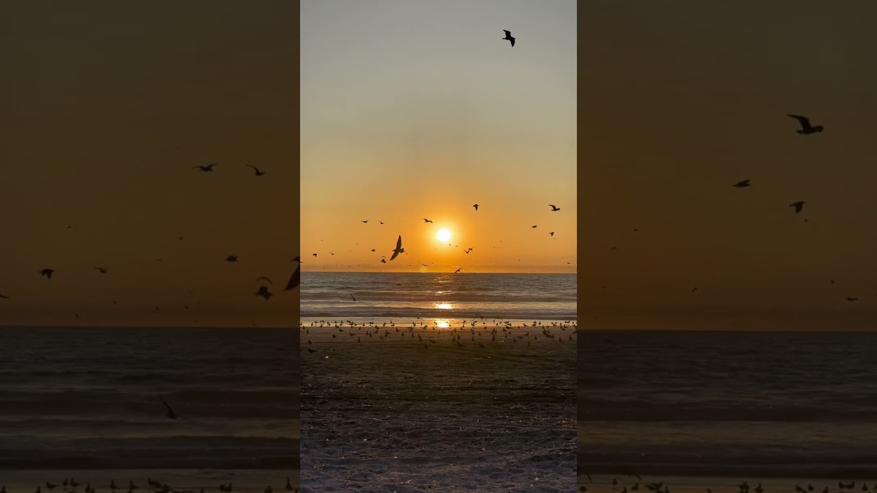 🇨🇱 Sunset view in Northern Chile