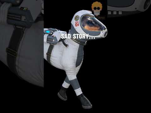 The Tragic Story Of Laika The First Dog In Space