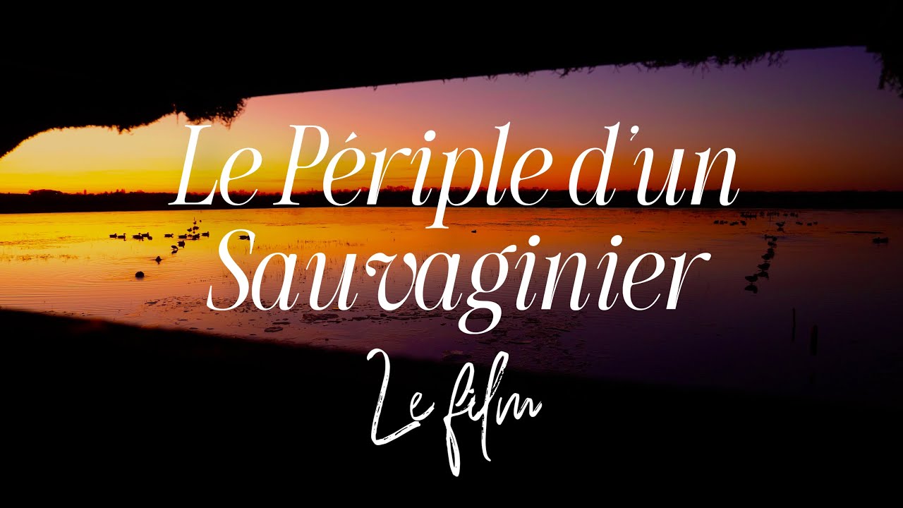 Le Périple d’un Sauvaginier - { LE FILM OFFICIEL } - Romain Chasse Passion