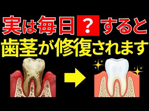 【9割が知らない】実は毎日〇〇をすると歯茎が修復されます!むし歯や歯周病を自分で治す方法