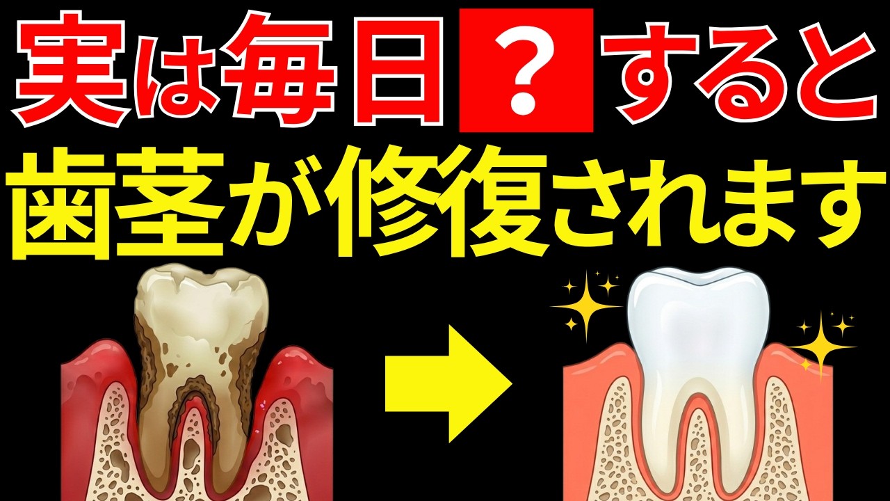【9割が知らない】実は毎日〇〇をすると歯茎が修復されます！むし歯や歯周病を自分で治す方法