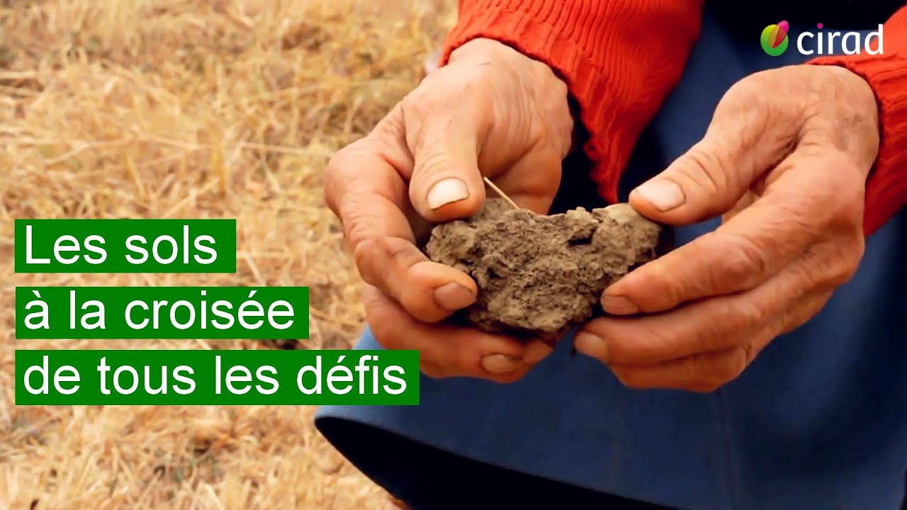 3 minutes pour comprendre le rôle inestimable des sols et des terres