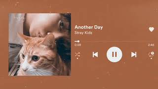 [1 HOUR LOOP] Stray Kids - Another Day