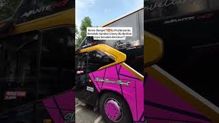 keren banget ex bis haryanto #bus #mobilbasuri #automobile #basuribussid #busmania #bussidindonesia screenshot 5