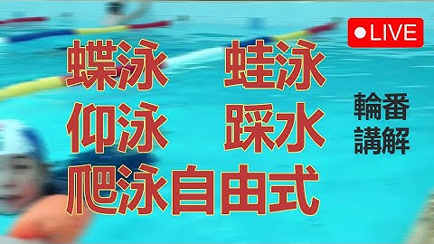 游泳入門 小白和中老年人學游泳必看[轉]