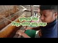 ফূলিয়ার তাঁত শাড়ি, হ্যান্ডলুম শাড়ি ৷ Tant . cotton. handloom saree manufacturer .