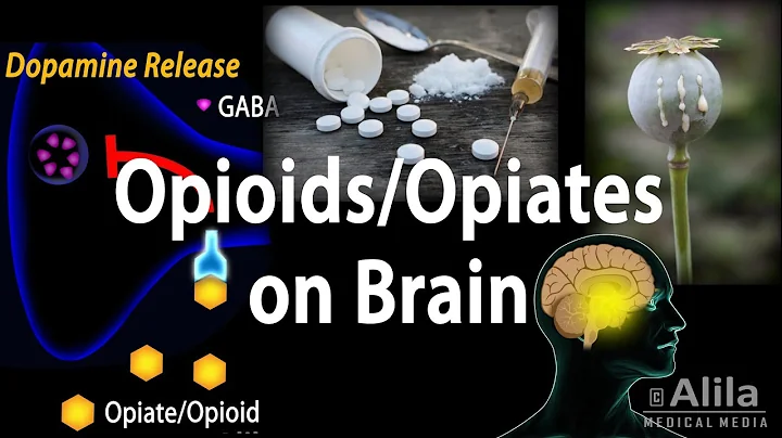 Opioids Mechanism of Action, Addiction, Dependence and Tolerance, Animation