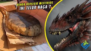 Terkuak Misteri Telur Bersisik Mirip Naga! Ilmuwan Berhasil Menjelaskan