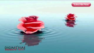 HD BG Flower 2 BACKGROUND