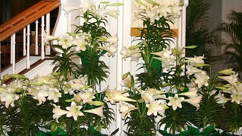 In Loving Memory of Jeanette Mary Weaver