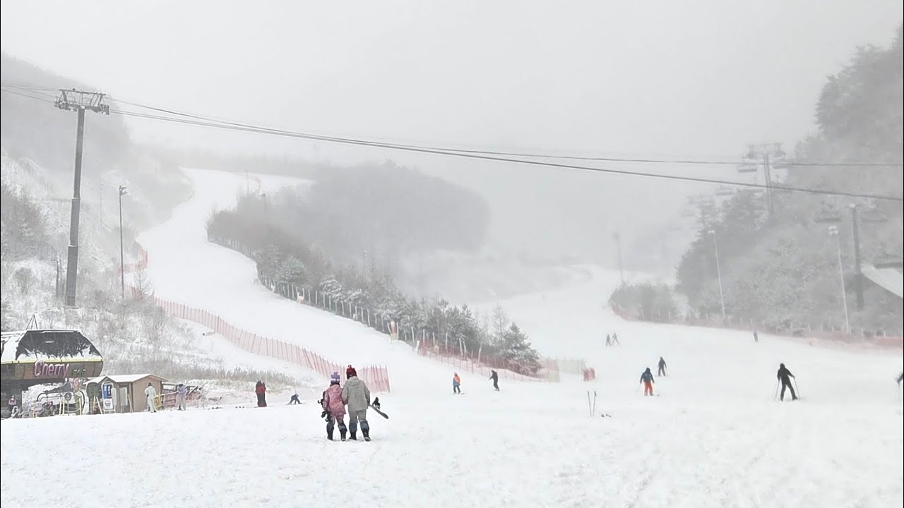 Ski Powder Day 20260302 오투리조트 스키장 해피 원본