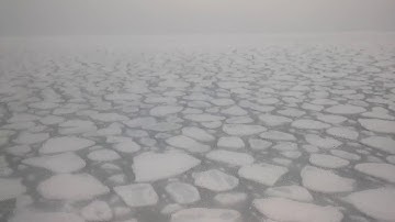 Marginal Ice Zone of Antarctica