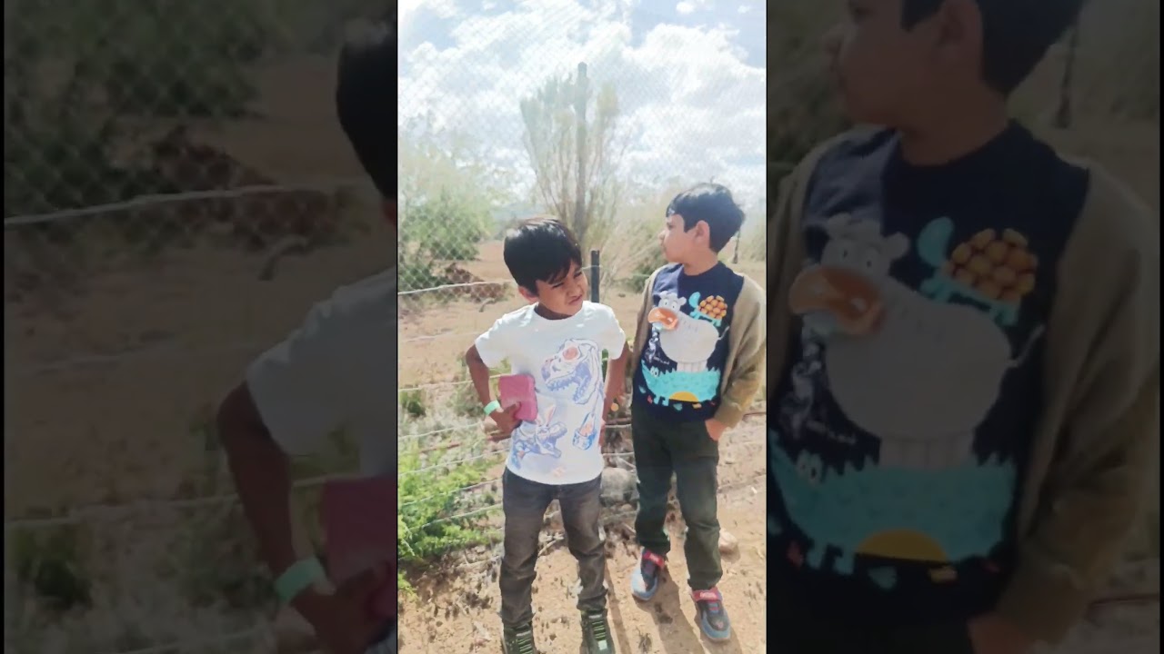 Mivaan & Yug Spot a Wild Tiger in Arizona!