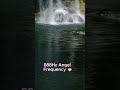 888Hz Angel Frequency ✨ Manifest Abundance While You Relax