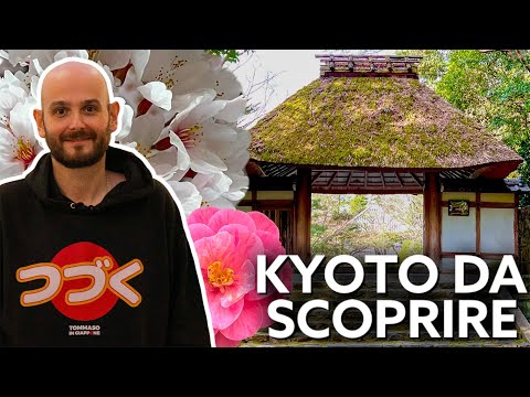 Video: Descrizione e foto del castello di Fushimi - Giappone: Kyoto
