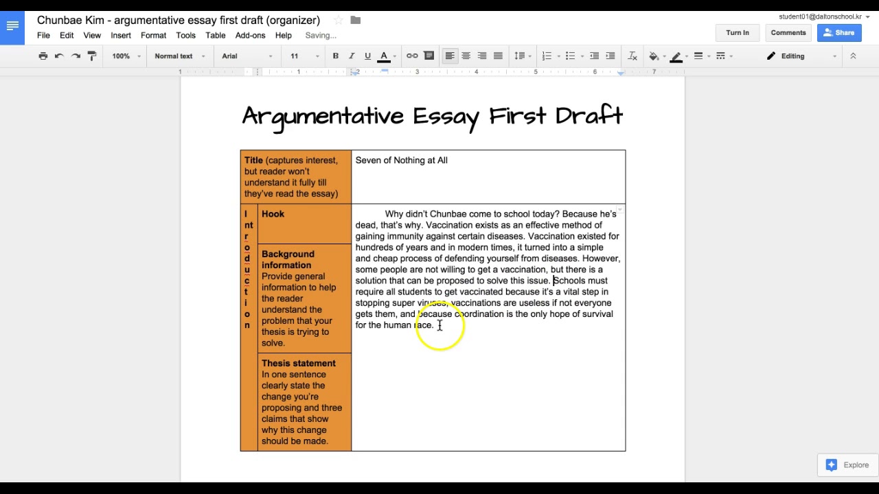 argumentative essay point of view