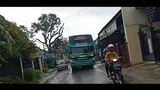 Bus Oleng full Strobo