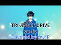 【歌ってみた】TRI-ANGLE DRIVE v&alpha;-liv Covered by かいP