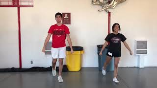 PHS Cheer Tryouts: Fight Song