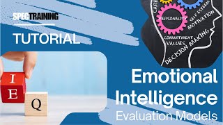 BSBPEF502 EI evaluation models
