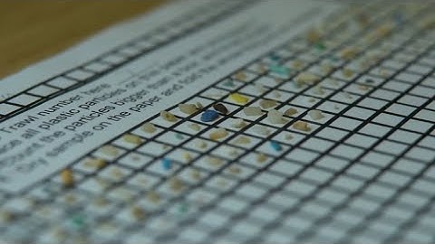 Study shows effects of microplastics on the brain