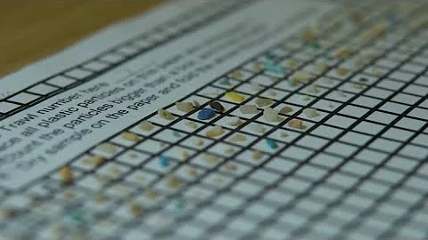 Study shows effects of microplastics on the brain