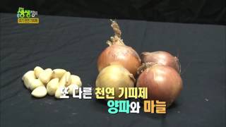 2TV 생생정보 - SOS 실험실, 똑똑한 모기 퇴치법!. 20160727