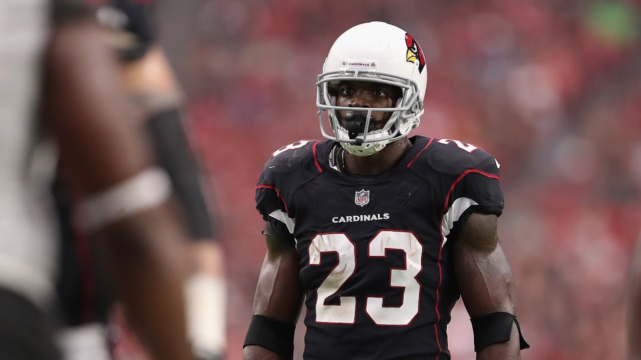 Adrian Peterson scores his 1st TD as a member of the Cardinals | Oct. 15, 2017 | Cardinals vs. Bucs