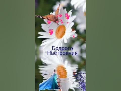 Желаю доброго утра. чудесного дня. - YouTube