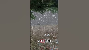 DayZ Tips and Tricks number 100 #tips #official #tent #shelter #stick #diy #dayz #tutorial