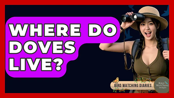 Where Do Doves Live? - Bird Watching Diaries
