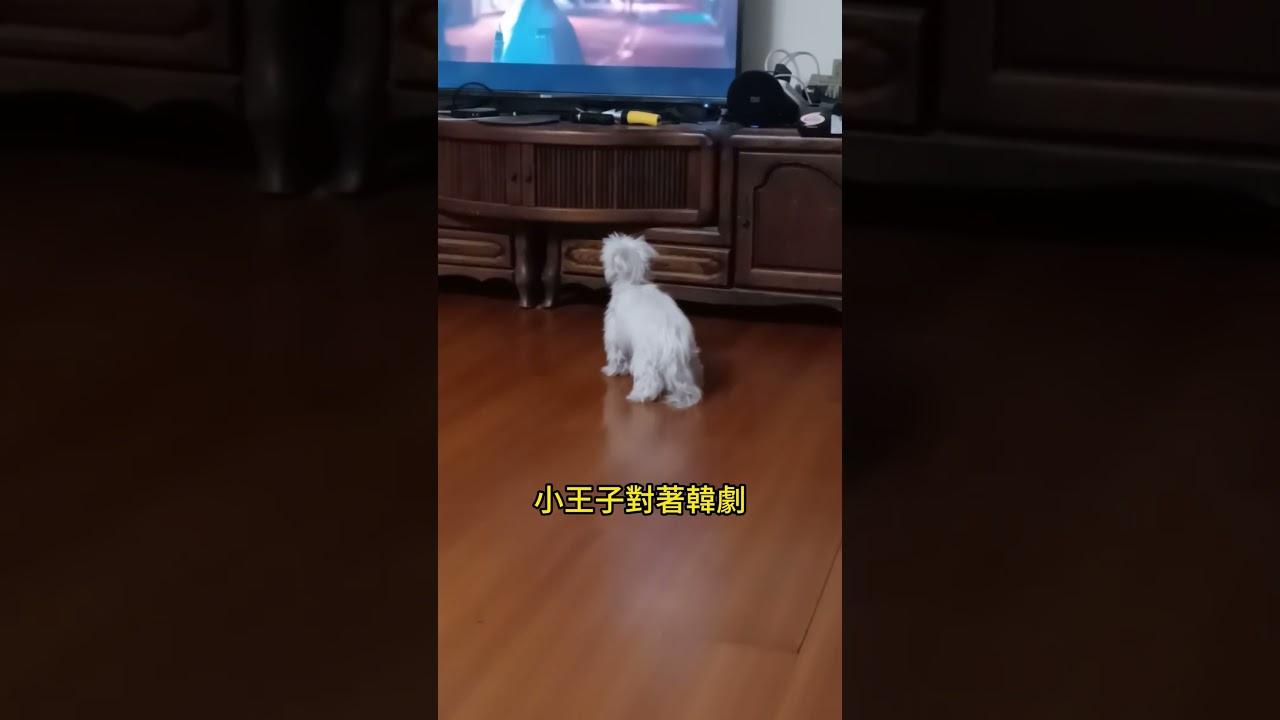 韓劇前開唱的瑪爾濟斯小王子, 瑪爾濟斯深情對唱 縮圖