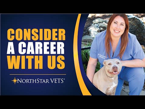 Consider a career at NorthStar VETS