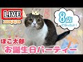 ぽこ太郎の8歳お誕生日パーティー