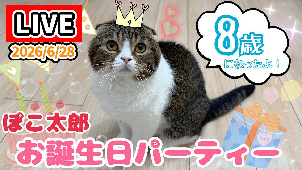 ぽこ太郎の8歳お誕生日パーティー