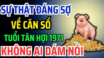 7 Dấu Hiệu chứng tỏ Tân Hợi 1971 là con Trời Phật, Phúc lộc vẹn toàn, được Che chở Bảo hộ !