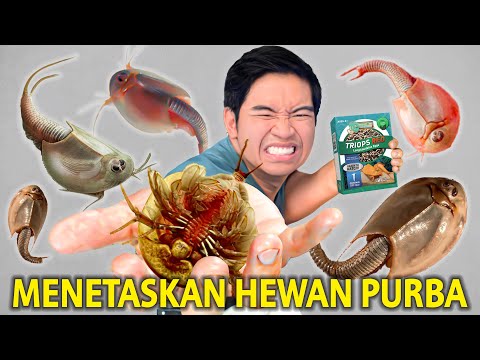 Udang Purba