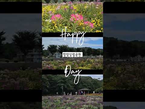 가을꽃들로 가득 찬 함양상림공원 소개합니다 #함양상림공원#가을꽃#상림숲#버들마편초#안젤로니아#빅베고니아