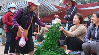 HARRVEST, Jiaogulan, Vegetables, Duck Eggs Brought To The Market To Sell lily farm life.