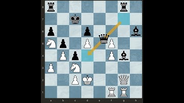 Chess Blunders Video Number 8