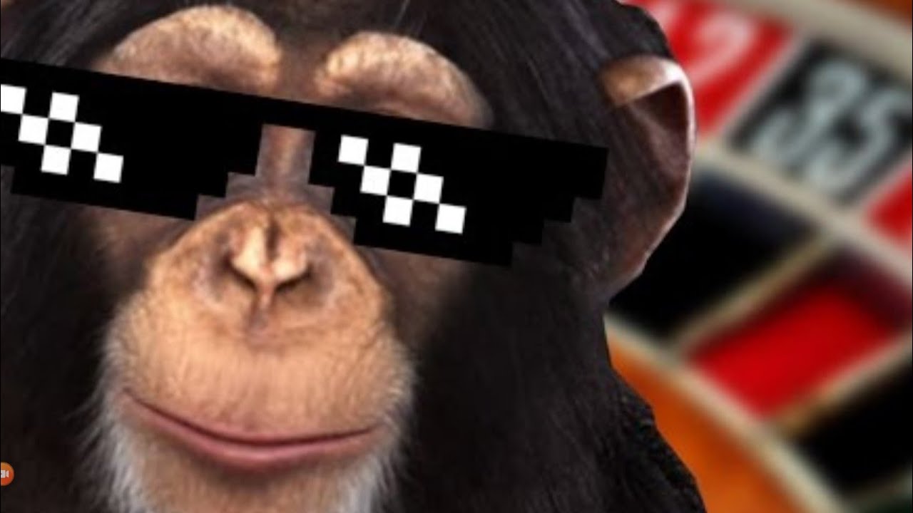Chimbot the king. - YouTube